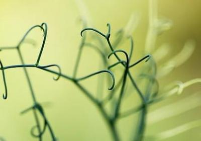 评论一首歌好听的词语(精选12句)