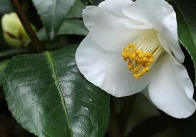 赞美劳动者的词语(热门32句)