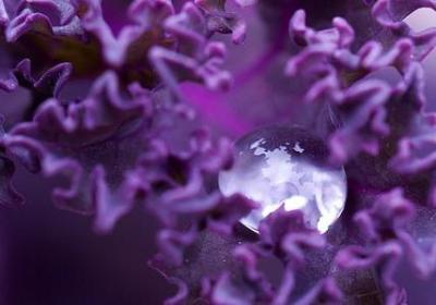 词语接龙 惹人讥笑(汇总60句)