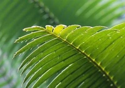 阀组四字词语(通用20句)