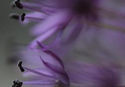 有关国家的名言(通用47句) 有关国家的名言(通用47句)