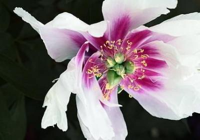 有关交友的名言警句(必备70句) 有关交友的名言警句(必备70句)