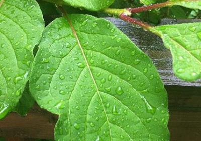 有关自强的名言(推荐60句)