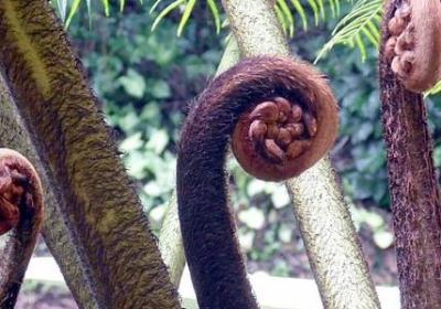 母亲名言警句(推荐100句) 母亲名言警句(推荐100句)