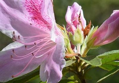 熟能生巧名言(优选40句) 熟能生巧名言(优选40句)