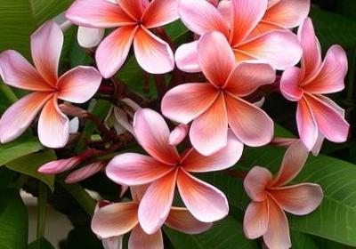 有担当的名言(共40句) 有担当的名言(共40句)