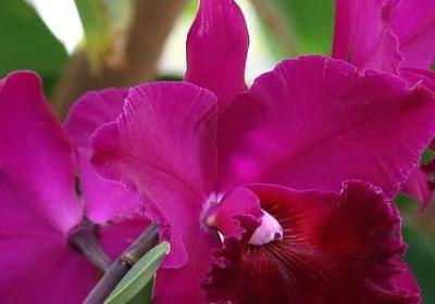 法律的名人名言(通用30句) 法律的名人名言(通用30句)