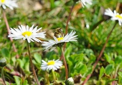 朋友名言名句大全(通用60句)