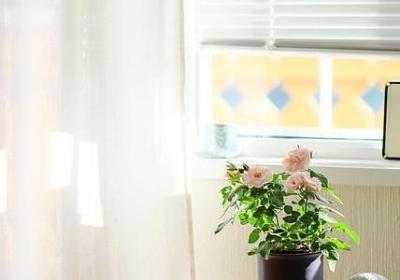 雨的形容词语有哪些(通用53句) 雨的形容词语有哪些(通用53句)