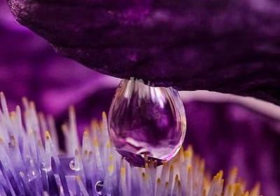 适合猜词游戏的词语(80句) 适合猜词游戏的词语(80句)