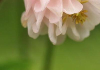 爱国名言和诗句(70句)