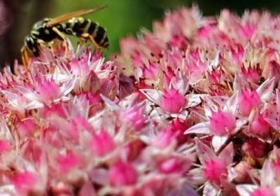 理想名人名言(优选80句)