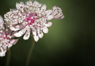 激励的名言警句(热门50句)