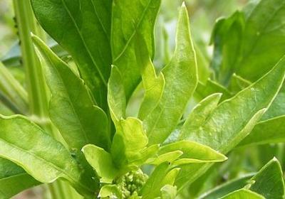 激励人进步的名言(汇总40句)