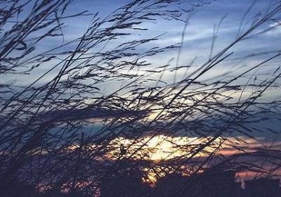 注意细节的名言(汇总78句) 注意细节的名言(汇总78句)