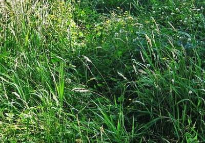 生活哲理名言(推荐80句) 生活哲理名言(推荐80句)