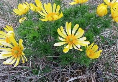 慢下来的名言(汇总80句) 慢下来的名言(汇总80句)