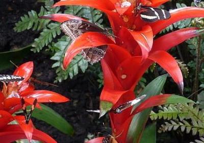 欣赏的名人名言(通用119句)