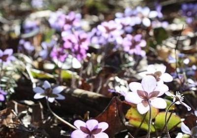 目标的名人名言(合集80句)