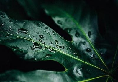 爱国的名言警句(热门50句)