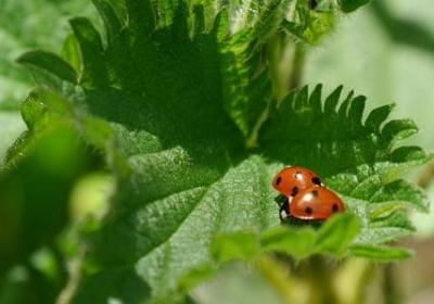 毅力的名言警句(汇总50句)