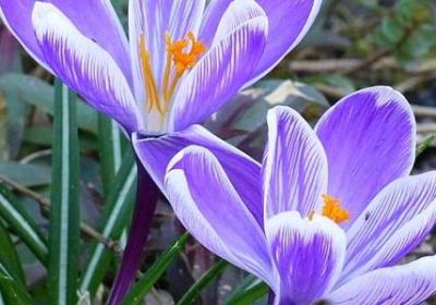 有哪些名言警句(通用10句)