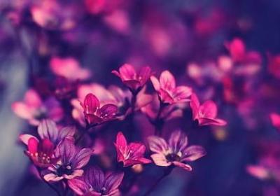 现代名言名句(共60句)