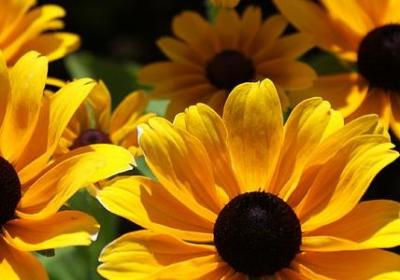 有关青年的名言(实用63句)