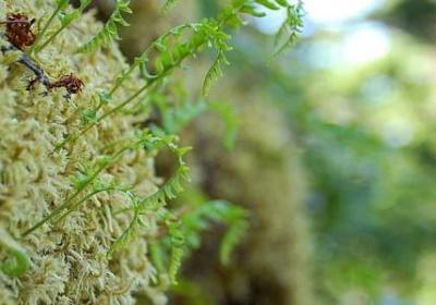 知错就改的名言警句(汇总50句)