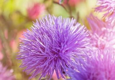 杜威教育名言(汇总80句)