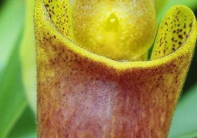 爱因斯坦名言(推荐40句)