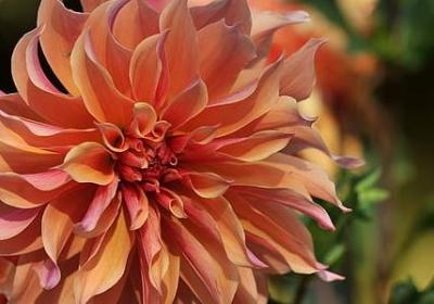 自我介绍名人名言(推荐10句)