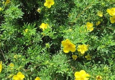 旅途奔波忙碌劳累词语(通用40句) 旅途奔波忙碌劳累词语(通用40句)