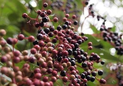 描写精神的词语(推荐70句)