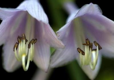 握手言欢词语接龙(精选80句) 握手言欢词语接龙(精选80句)