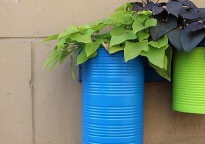 栽可以组什么词语(通用16句) 栽可以组什么词语(通用16句)