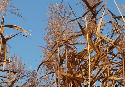 有意义的词语(共50句)