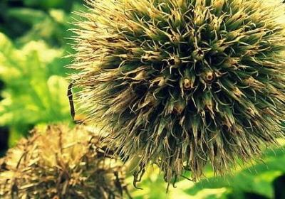 有食欲的词语(必备50句)