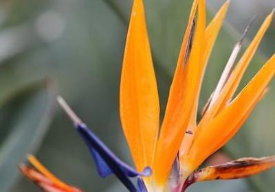 极小极小的词语(优选70句)