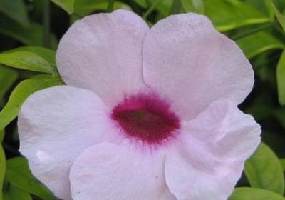 泞可以组什么词语(推荐71句)