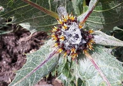 温暖相反的词语(精选50句)