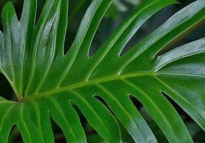 王组词有哪些词语(41句)