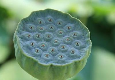 照样子写词语静静地(通用50句)