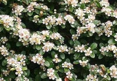 渐渐的什么填空词语(精选40句)