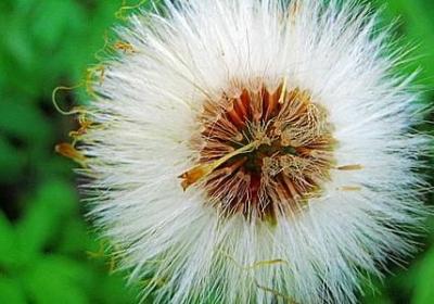 沉怎么组词语(推荐78句)