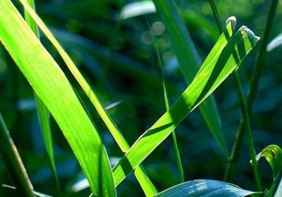 禁组什么词语(热门120句)