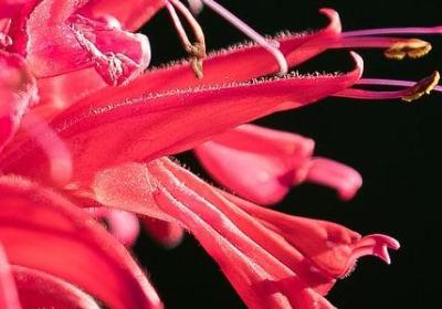 生活幸福的词语(60句)