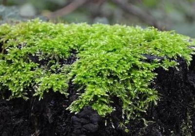 用来形容人多的四字词语(实用60句)