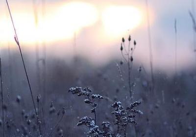 直流什么什么词语(通用15句)