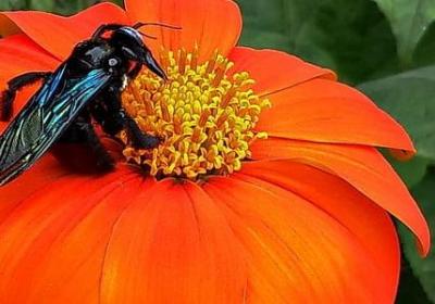 眯组四字词语(优选40句)